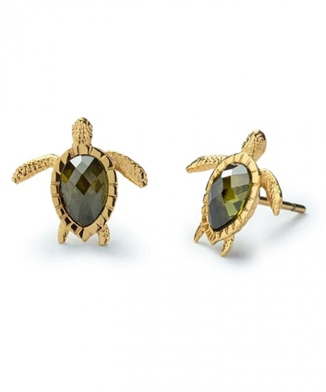 Cercei Paul Hewitt Turtle Gold PH-JE-0183