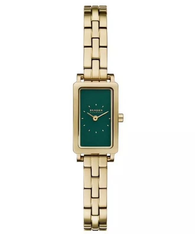 Ceas dama Skagen Hagen Micro Hagen SKW3146