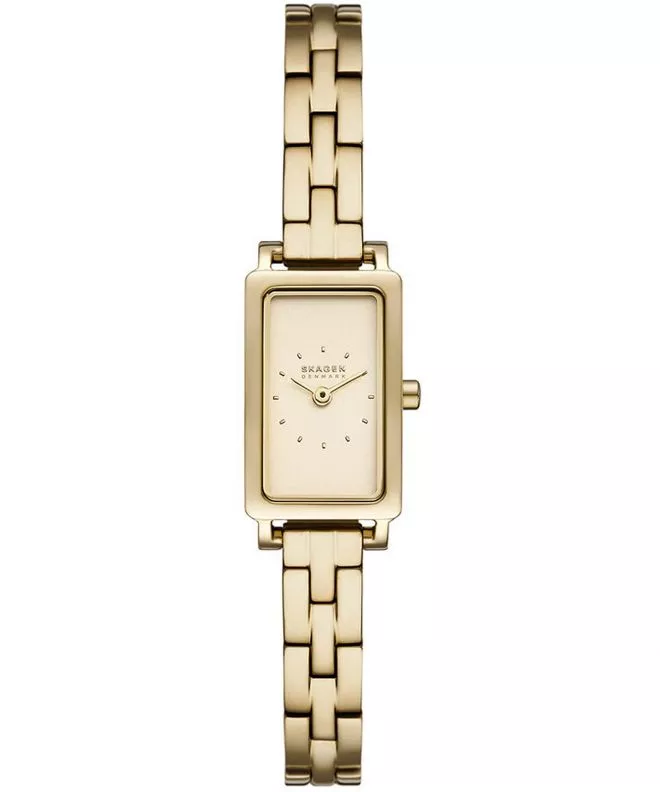 Ceas dama Skagen Hagen Micro SKW3154