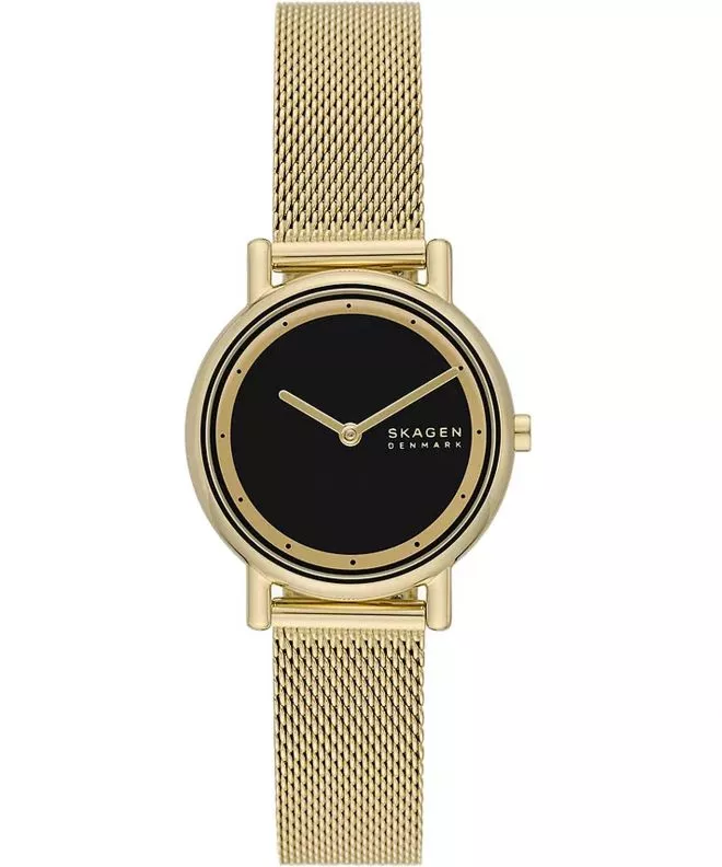 Ceas dama Skagen Signatur Lille SKW3111