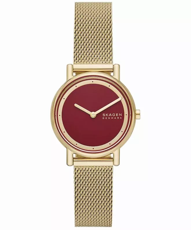 Ceas dama Skagen Signatur Lille SKW3117