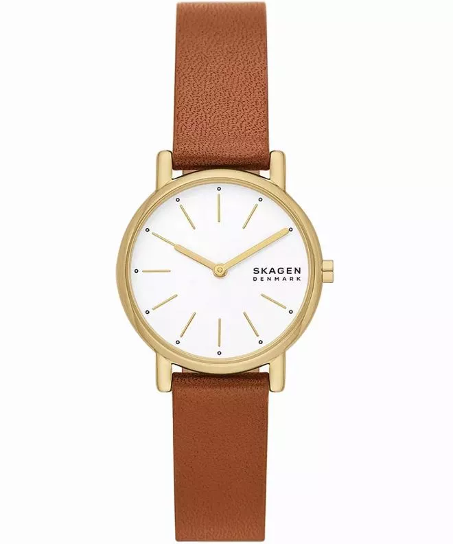 Ceas dama Skagen Signatur Lille SKW3121