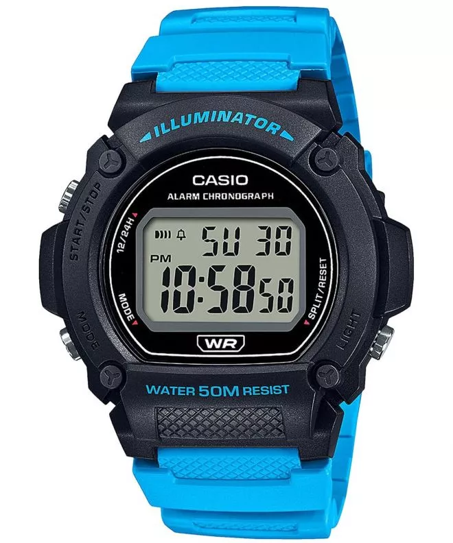 Ceas Barbatesc Casio Sport W-219H-2A2VEF