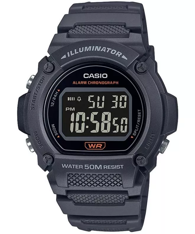 Ceas Barbatesc Casio Sport W-219H-8BVEF