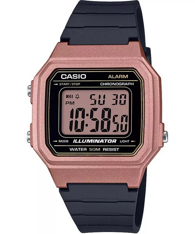 Ceas Barbatesc Casio Oldschool W-217HM-5AVEF