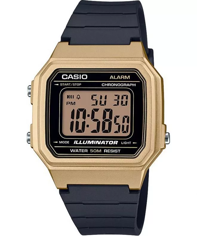 Ceas Barbatesc Casio Oldschool W-217HM-9AVEF