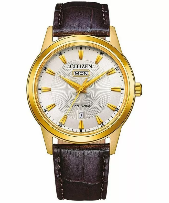 Ceas barbatesc Citizen Leather Eco-Drive AW0102-13AC (AW0102-13AE)