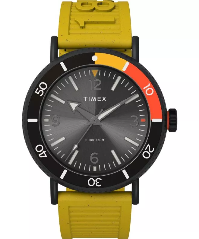 Ceas barbatesc Timex Standard Diver TW2V71600