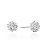 Cercei Bonore - Aur Alb 585 - Diamant