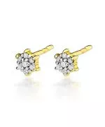 Cercei Bonore - Aur 585 - Diamant