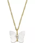 Colier Fossil Radiant Wings