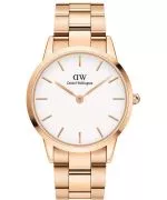 Ceas Dama Daniel Wellington Iconic Link