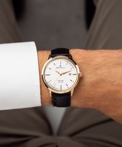 Ceas barbatesc DESTELL Pictor Silver Gold Black Leather Sapphire