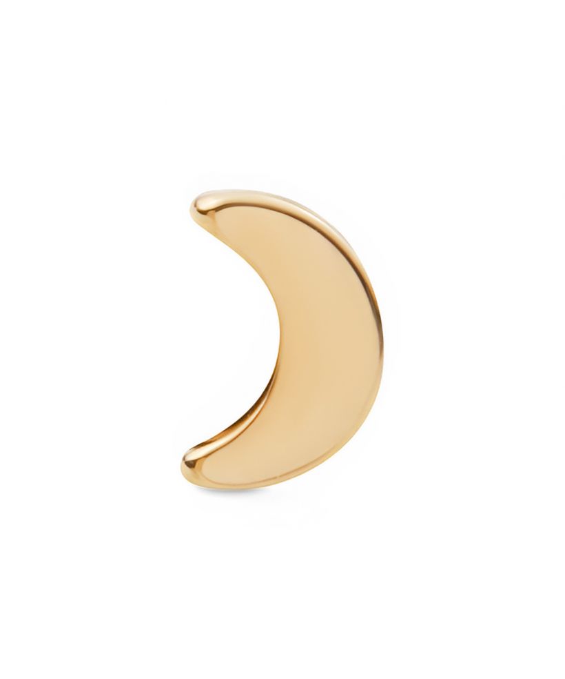 Cercel Daniel Wellington Moon Stud Gold