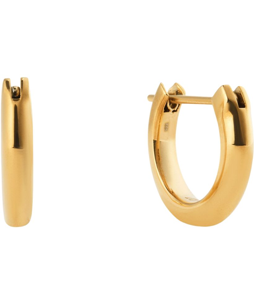 Cercel Daniel Wellington Arch Gold