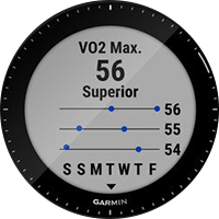 VO2 max.