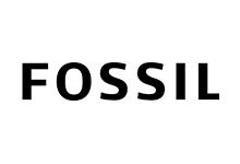 Ceasuri Fossil